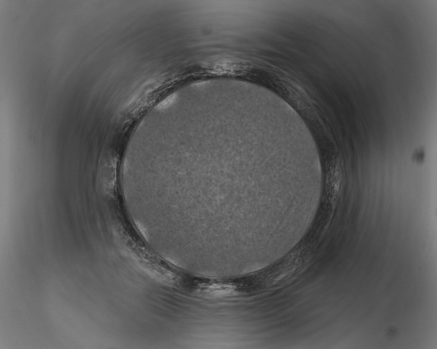 X0000116490554201001061143