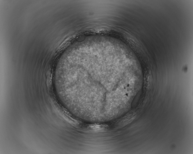 X0000116490558201001061143