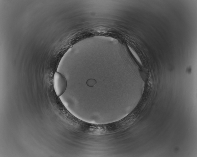 X0000116490559201001061143