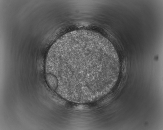 X0000116490561201001061143