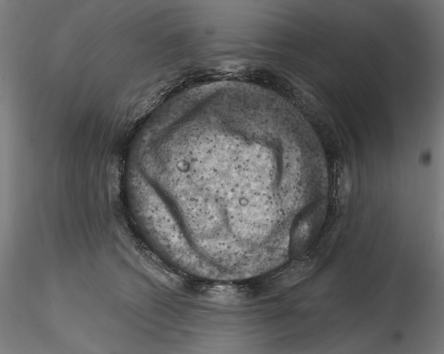 X0000116490562201001061143