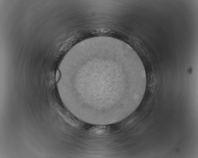 X0000116490563201001061143