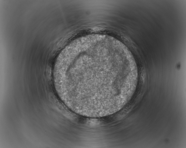 X0000116490565201001061143