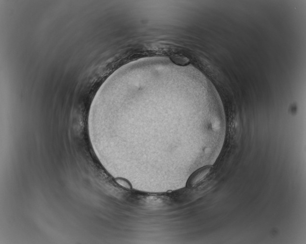 X0000116490566201001061143