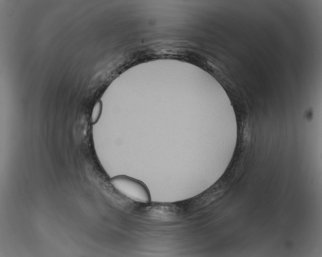 X0000116490567201001061143