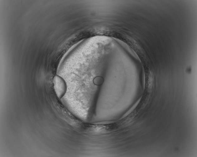 X0000116490569201001061143