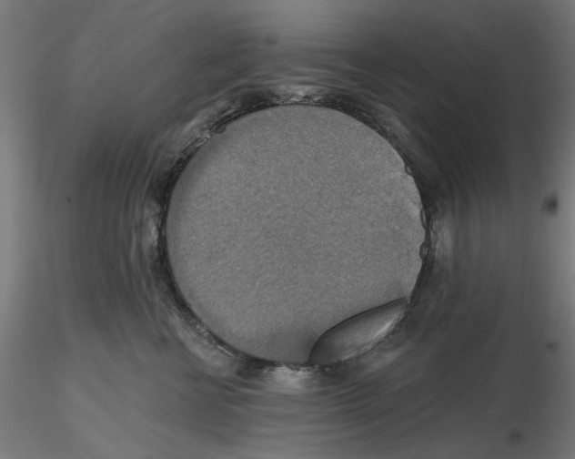 X0000116490570201001061144