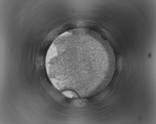 X0000116490571201001061144