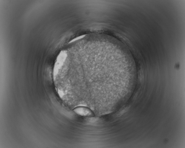 X0000116490575201001061144