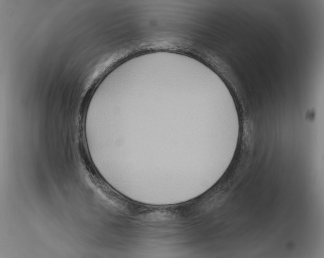 X0000116490578201001061143