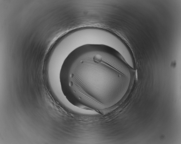 X0000116490579201001061143