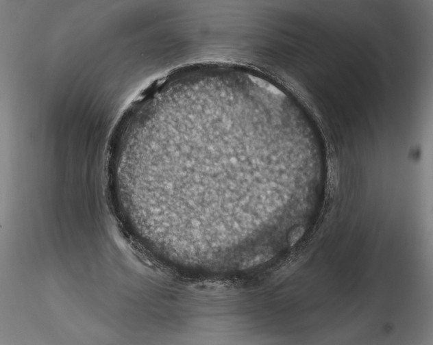 X0000116490580201001061143