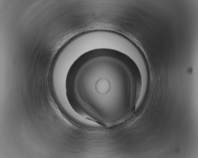 X0000116490581201001061143