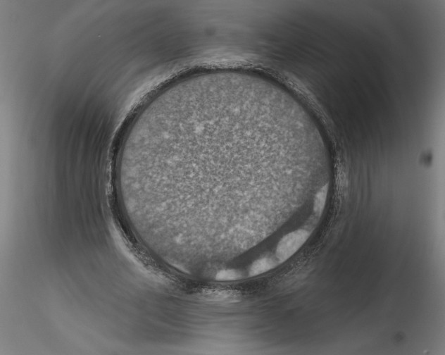 X0000116490582201001061143