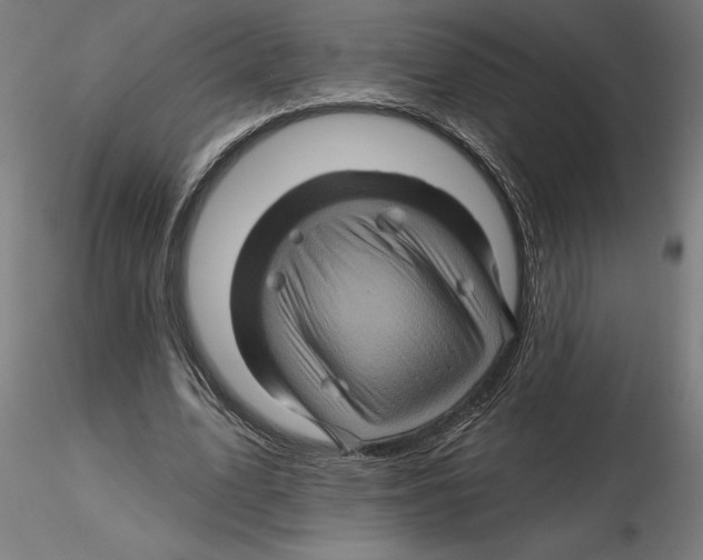 X0000116490583201001061143