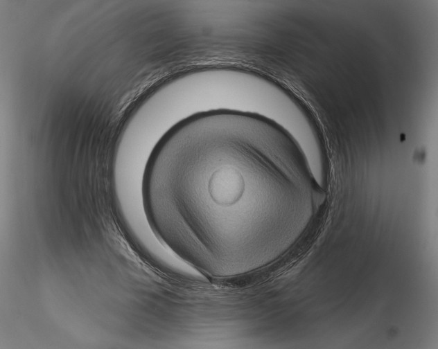 X0000116490585201001061143