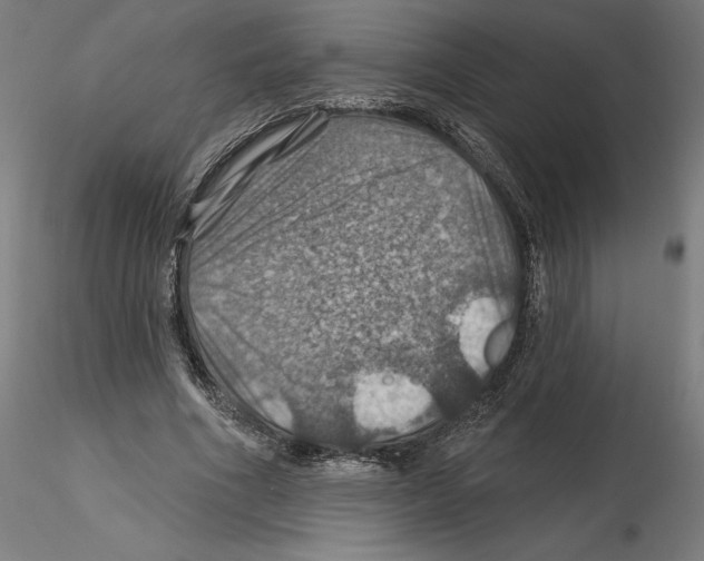 X0000116490586201001061143