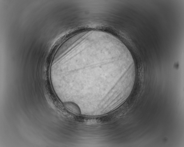 X0000116490587201001061143