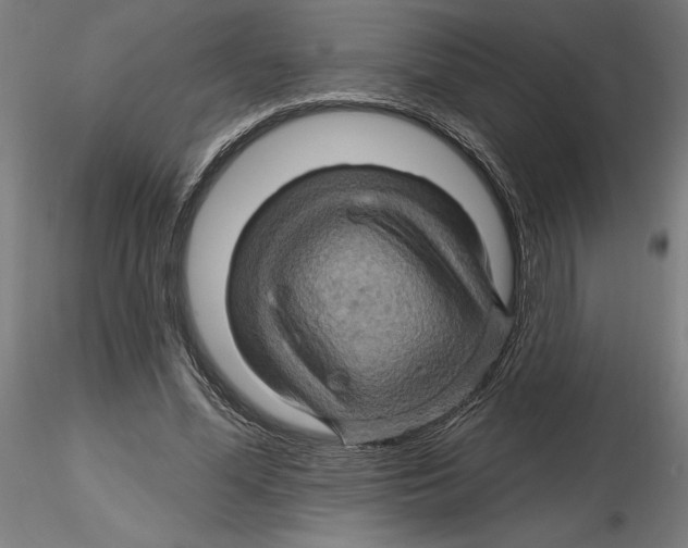 X0000116490588201001061143