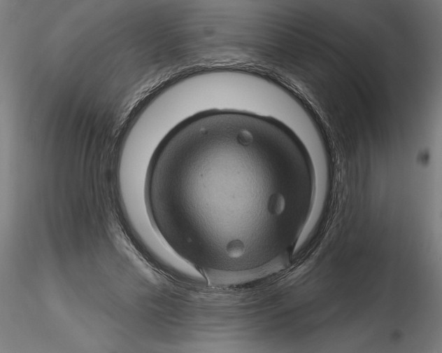 X0000116490589201001061143