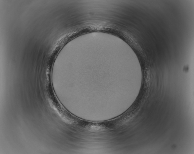 X0000116490590201001061143