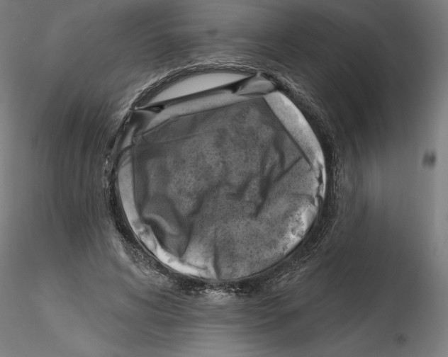 X0000116490592201001061143