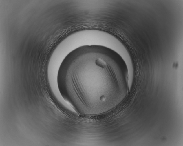 X0000116490593201001061143