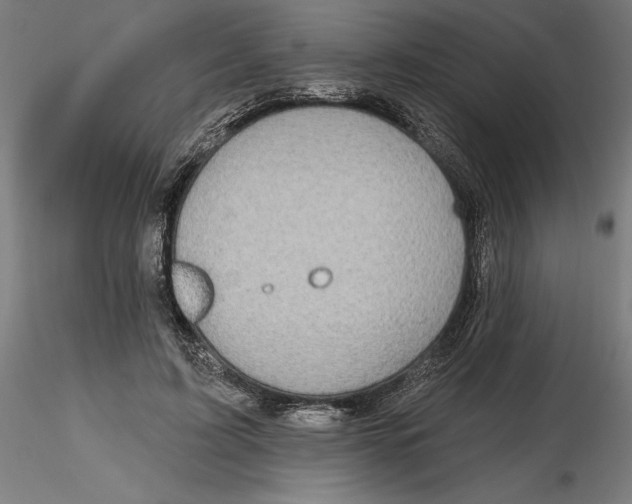 X0000116490595201001061143