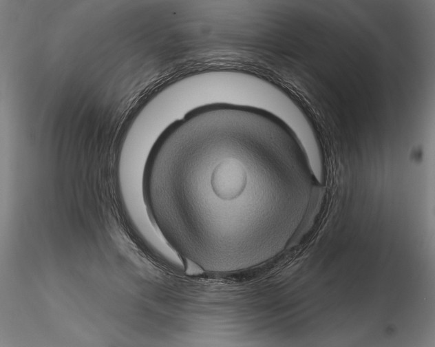 X0000116490597201001061143