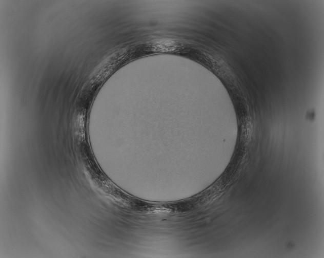 X0000116490598201001061143