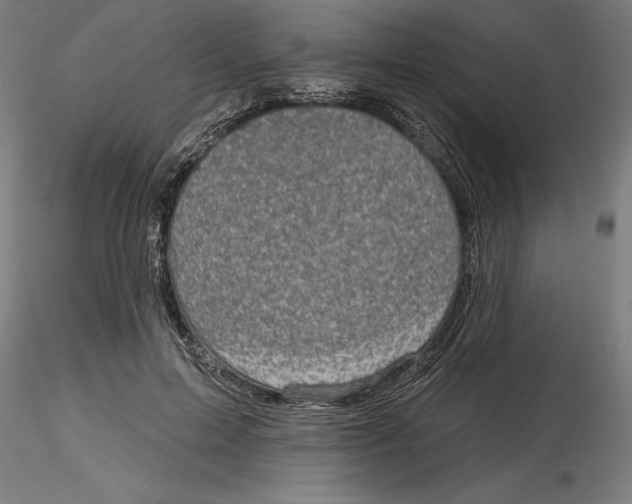 X0000116490599201001061143