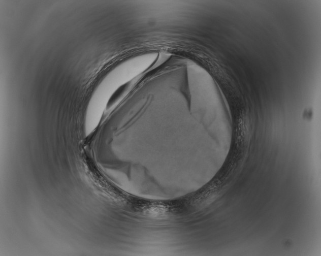 X0000116490600201001061143