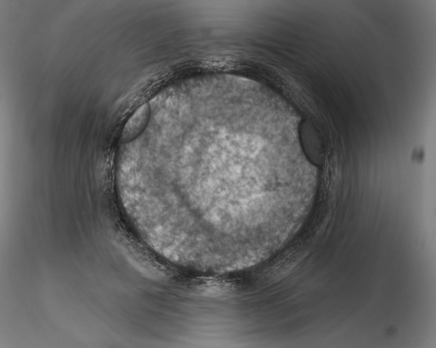 X0000116490601201001061143