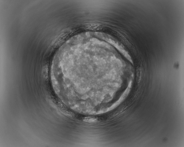 X0000116490602201001061143