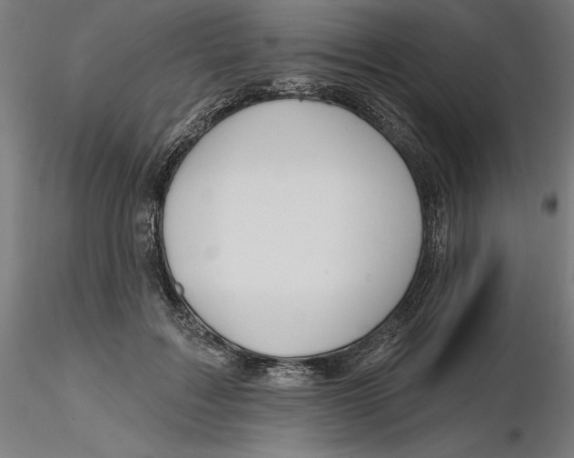 X0000116490603201001061143