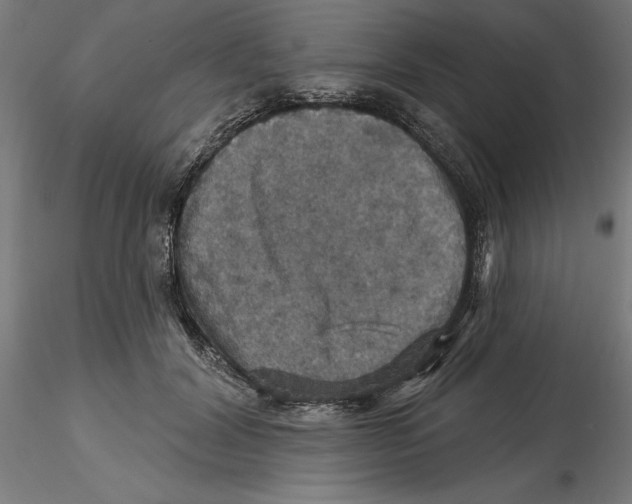 X0000116490604201001061143