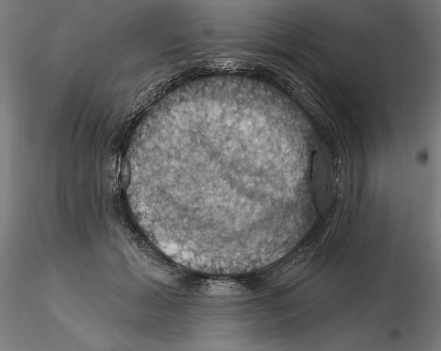 X0000116490605201001061143