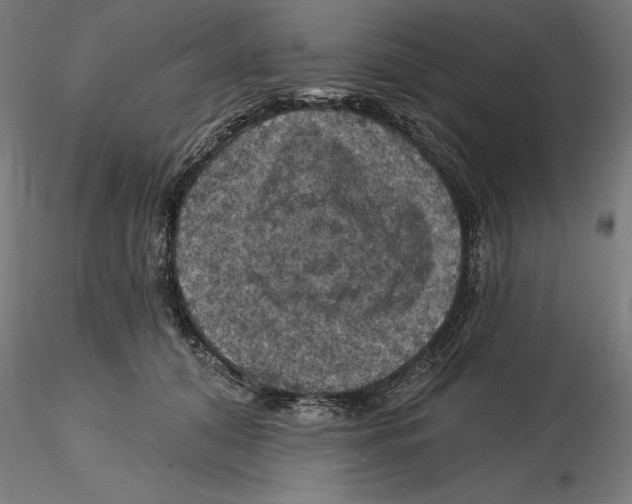 X0000116490608201001061143