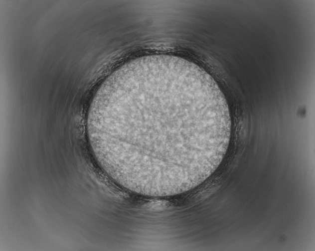 X0000116490609201001061143