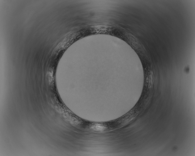 X0000116490610201001061142