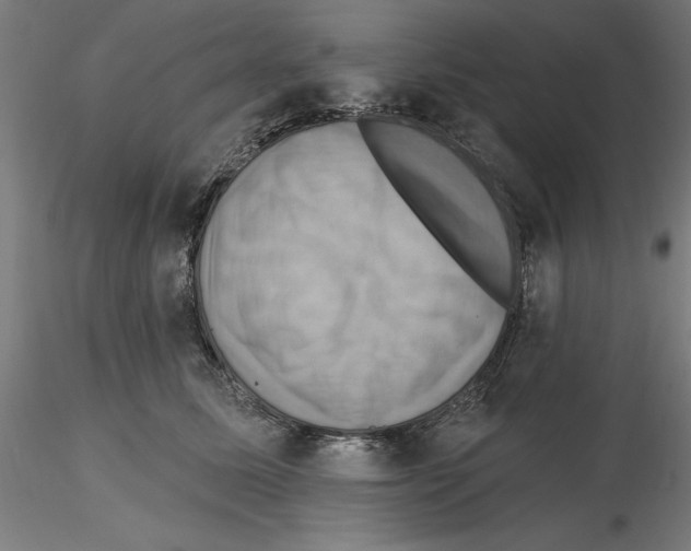 X0000116490611201001061142