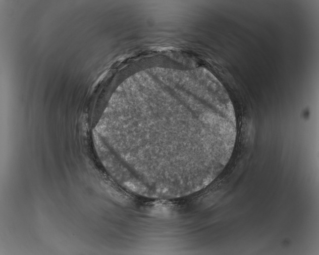 X0000116490612201001061142