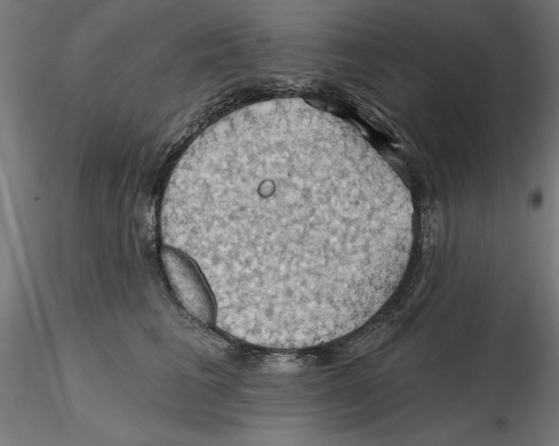 X0000116490613201001061142