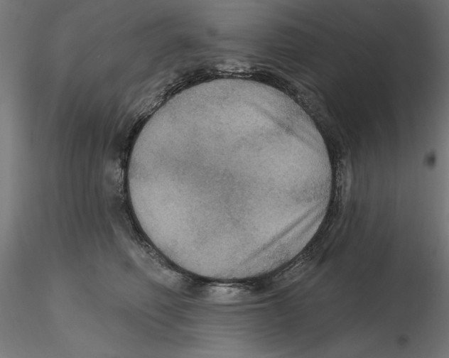 X0000116490614201001061142