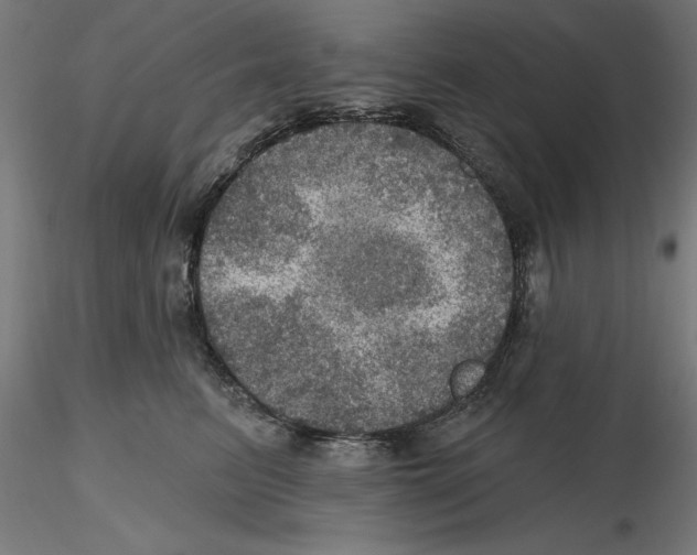 X0000116490615201001061142