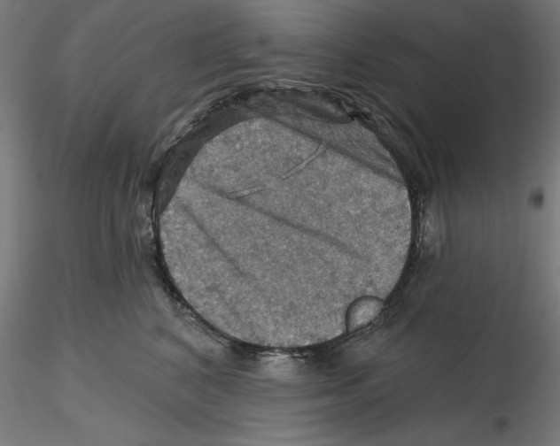 X0000116490616201001061142