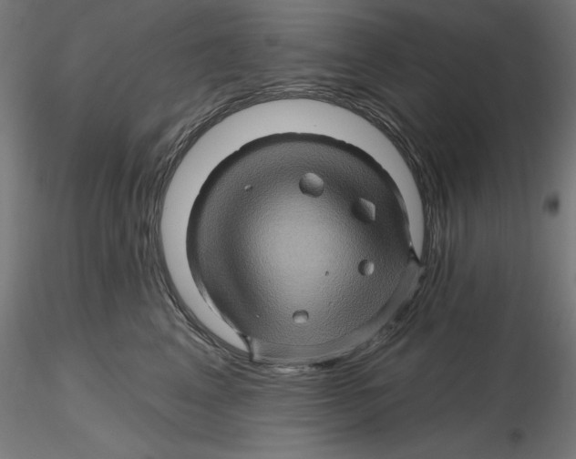 X0000116490617201001061142