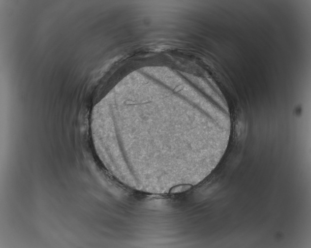 X0000116490620201001061142