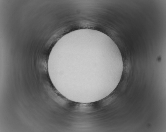 X0000116490622201001061142