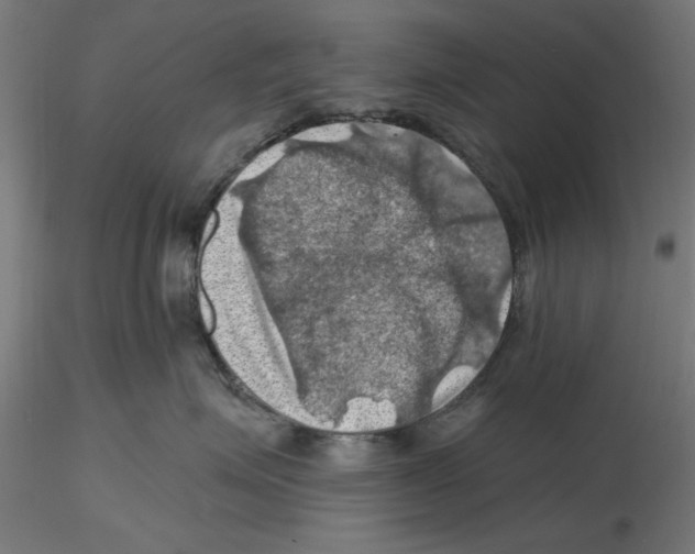 X0000116490623201001061142